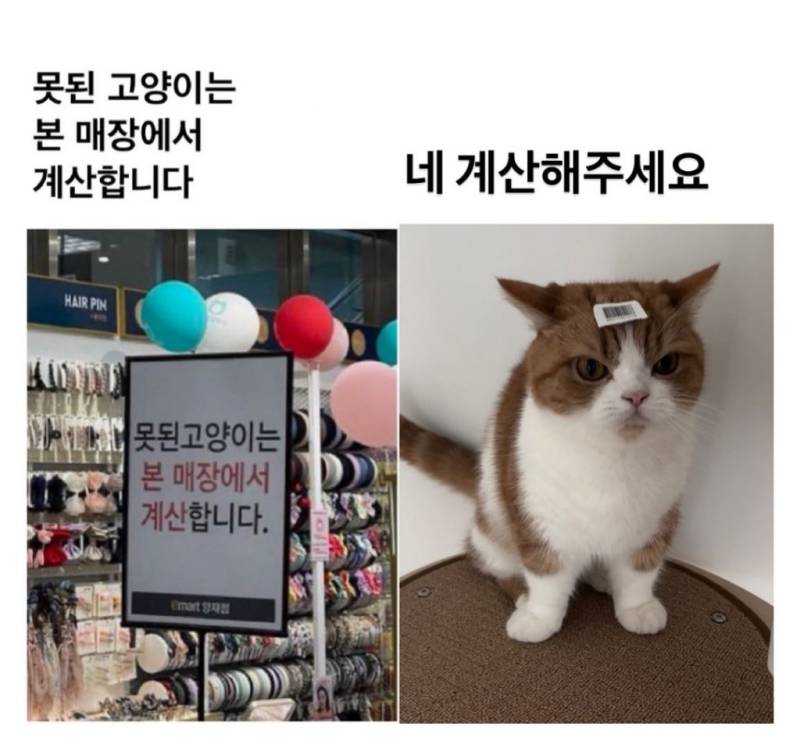 손님, 주문하신 음료 밟았습니다.의 내용을 보여주는 이미지 관련 이미지 5