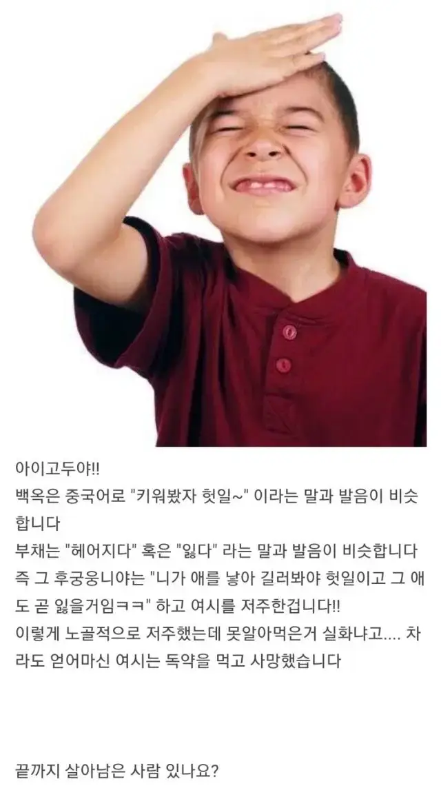 WSZdji