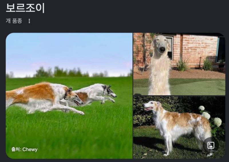 20260909210041_sTEzJvwGdJ.png