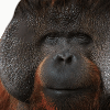 20260909184233_jypB6D8s3q.gif