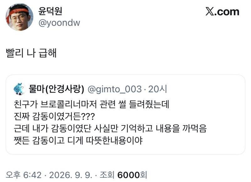 친구가 브로콜리너마저 관련 썰 들려줬는데 진짜 감동이였거든?? 근데 내가 감동이였단 사실만 기억하고 내용을 까먹음의 내용을 보여주는 이미지
