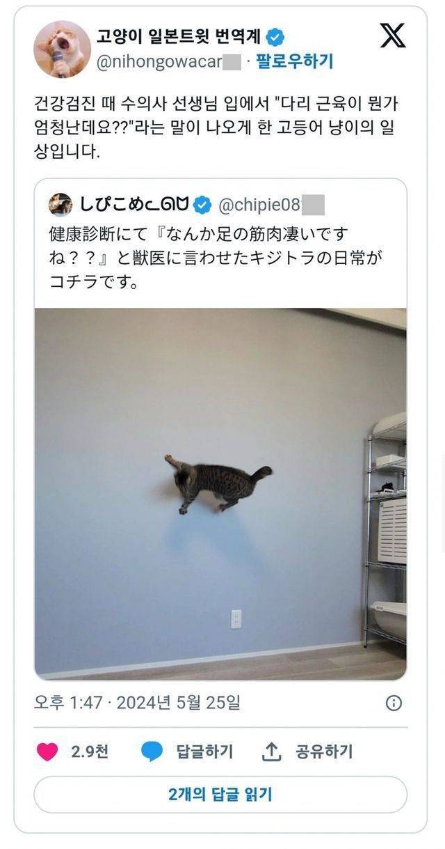 웃짤의 내용을 보여주는 이미지 관련 이미지 16