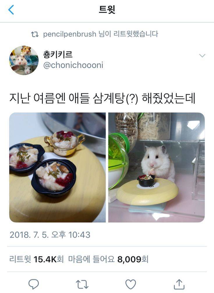 웃짤의 내용을 보여주는 이미지 관련 이미지 17