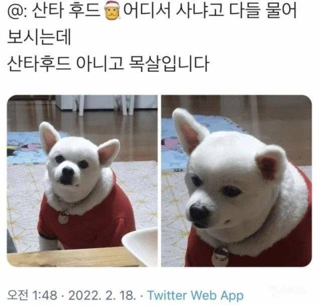웃짤의 내용을 보여주는 이미지 관련 이미지 19