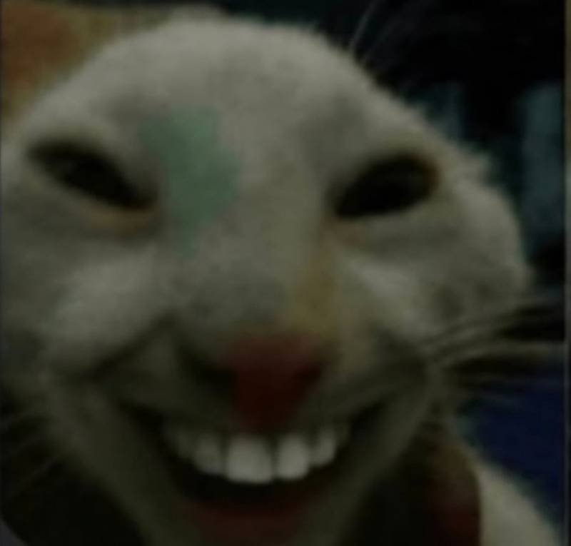20260911195943_W2GiIJOeMG.jpg