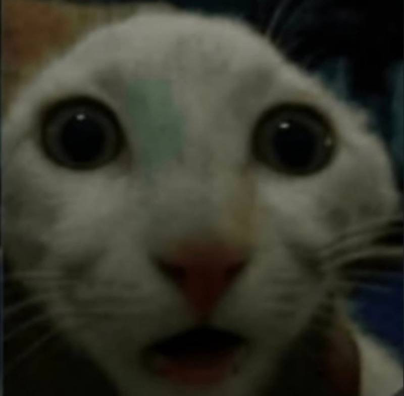 20260911195945_NYow4VeaoA.jpg
