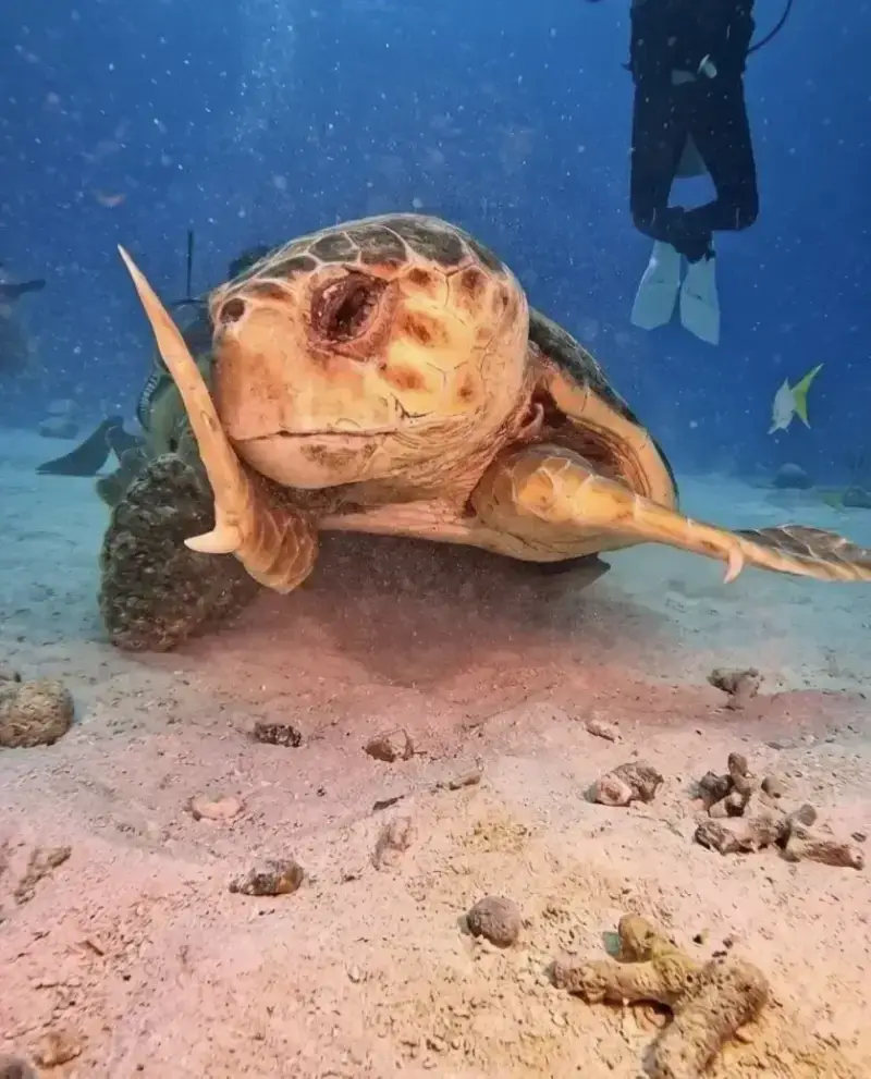 20260912092149_UJj5TcBVo1.webp