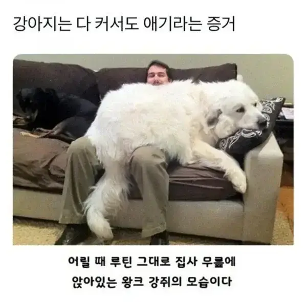 20260913091016_ajmXI00e5t.webp