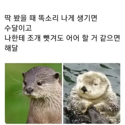 20260914094953_24h7uqYtGY.webp