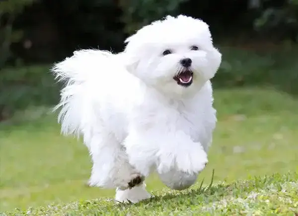 20260914210552_Yt3sUu2aLc.webp
