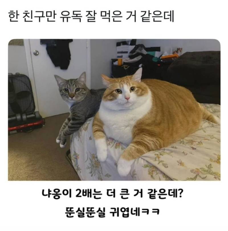 20260914140909_xIeU0OKMwK.jpg