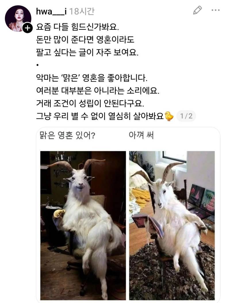 악마에게 영혼이라도 팔고싶다!의 내용을 보여주는 이미지