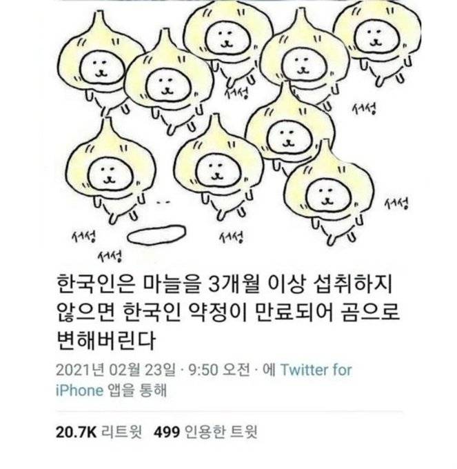 한국인은 마늘을 3개월 이상 섭취하지 않으면의 내용을 보여주는 이미지