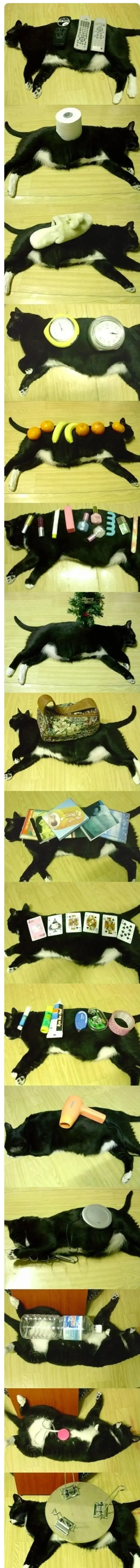 20260914224235_ugrKkIMvPX.webp