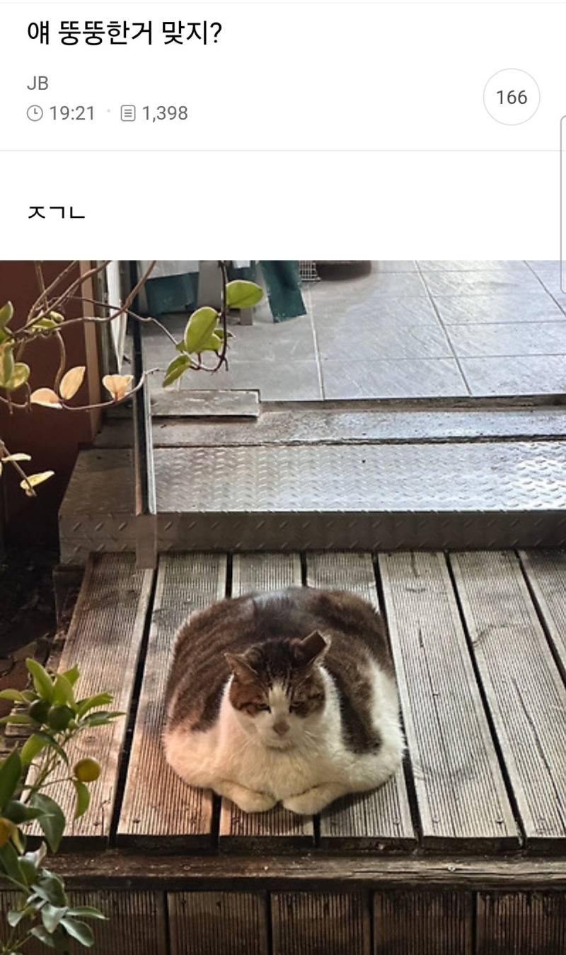 뚱뚱땡땡히 밝혀야만 하는 일입니다.의 내용을 보여주는 이미지