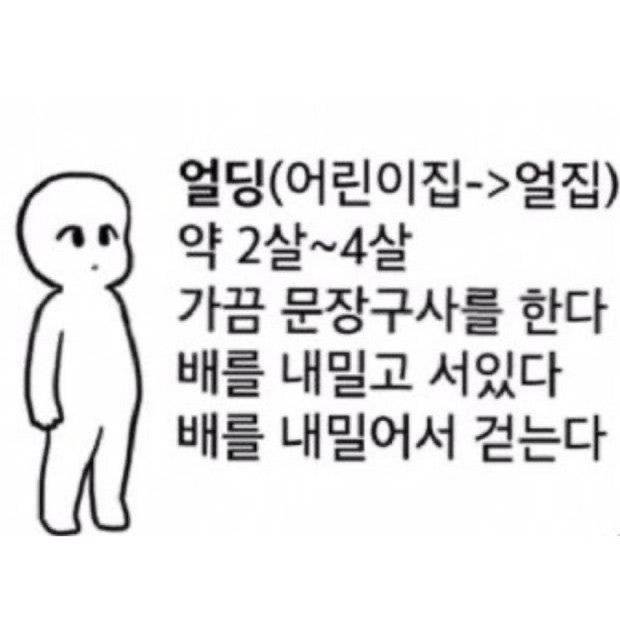 고양이들 가끔 이렇게 벌떡 일어나서 얼딩 자세로 멀뚱. 하게 있는 거 보면 웃김의 내용을 보여주는 이미지 관련 이미지 2