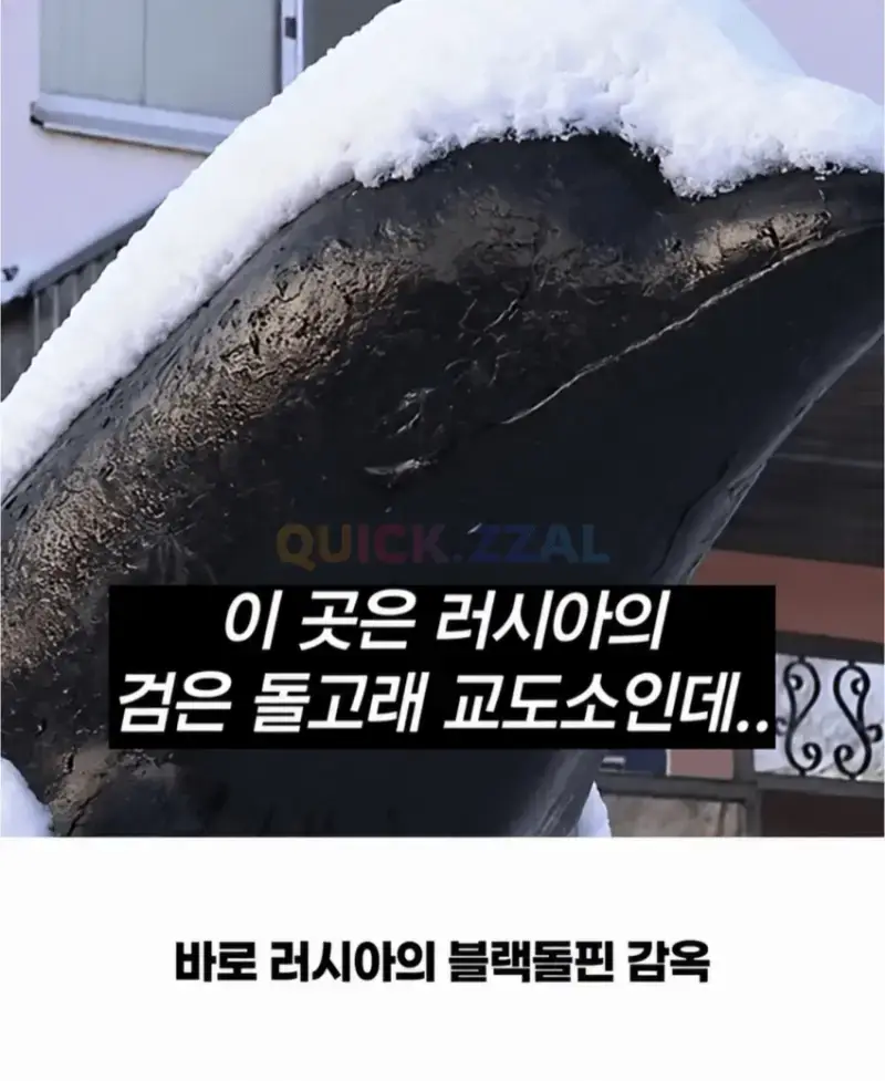 image.png 인권따위 절대 없는 러시아 교도소 ㄷㄷㄷ