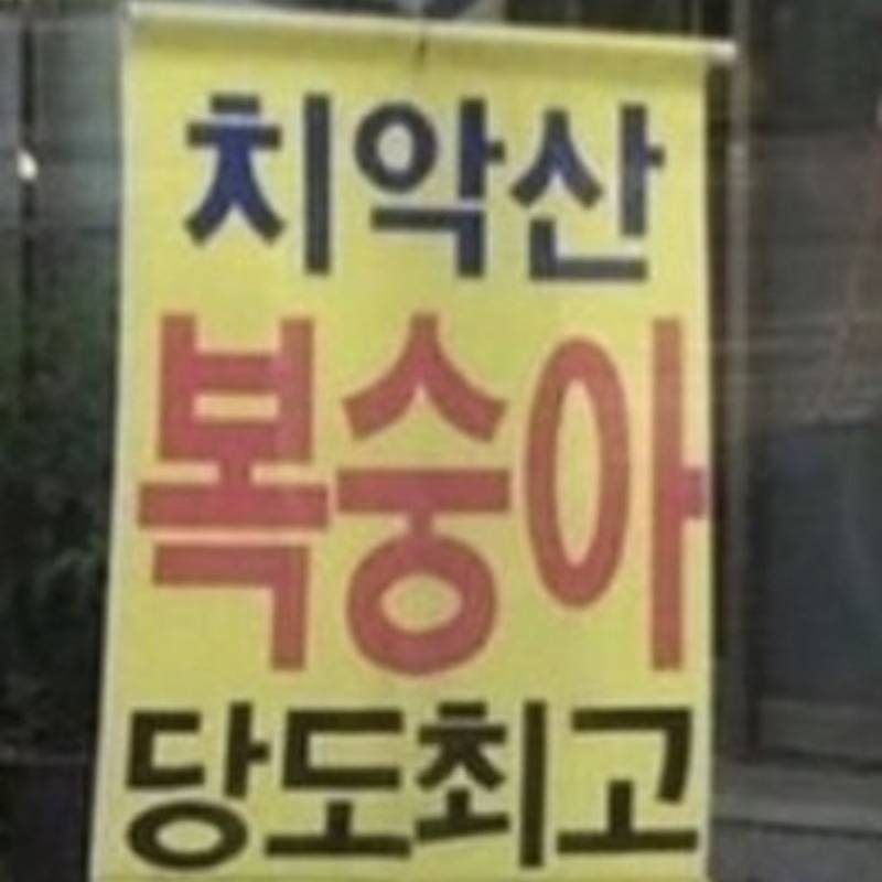 나사가 새로 공개한 화성 사진에 사람들 반응의 내용을 보여주는 이미지