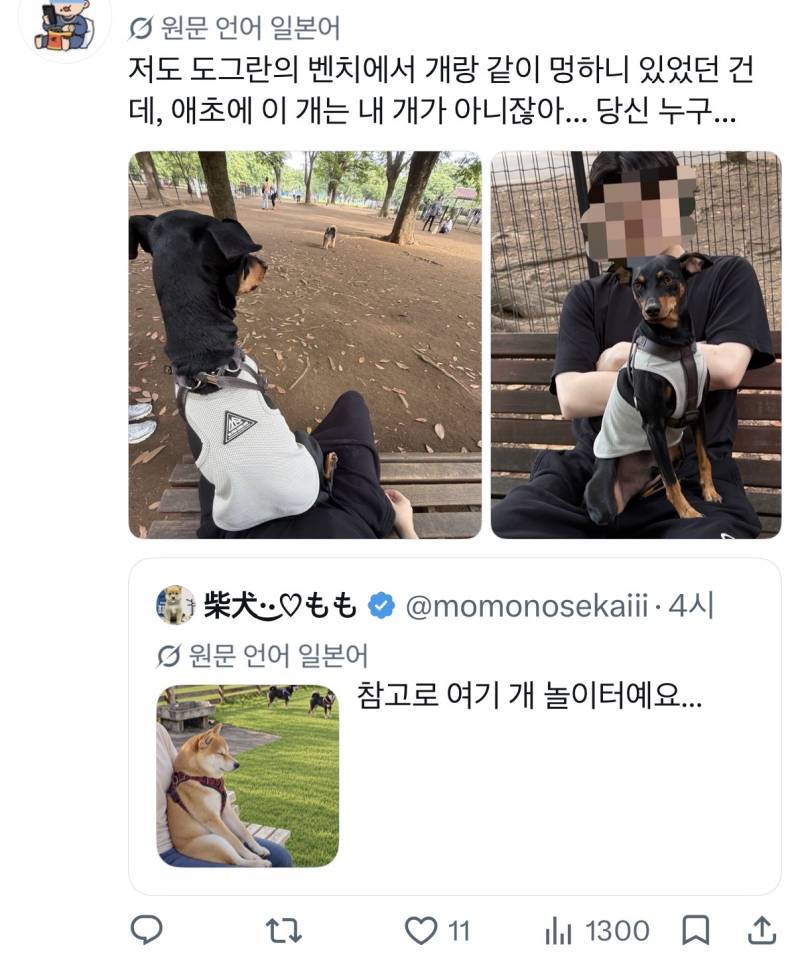 참고로 여기 개 놀이터예요…의 내용을 보여주는 이미지 관련 이미지 2