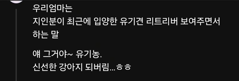 장모님께 드릴 음식 어디다 놔요? 베란다 ㅇㅇ의 내용을 보여주는 이미지 관련 이미지 8