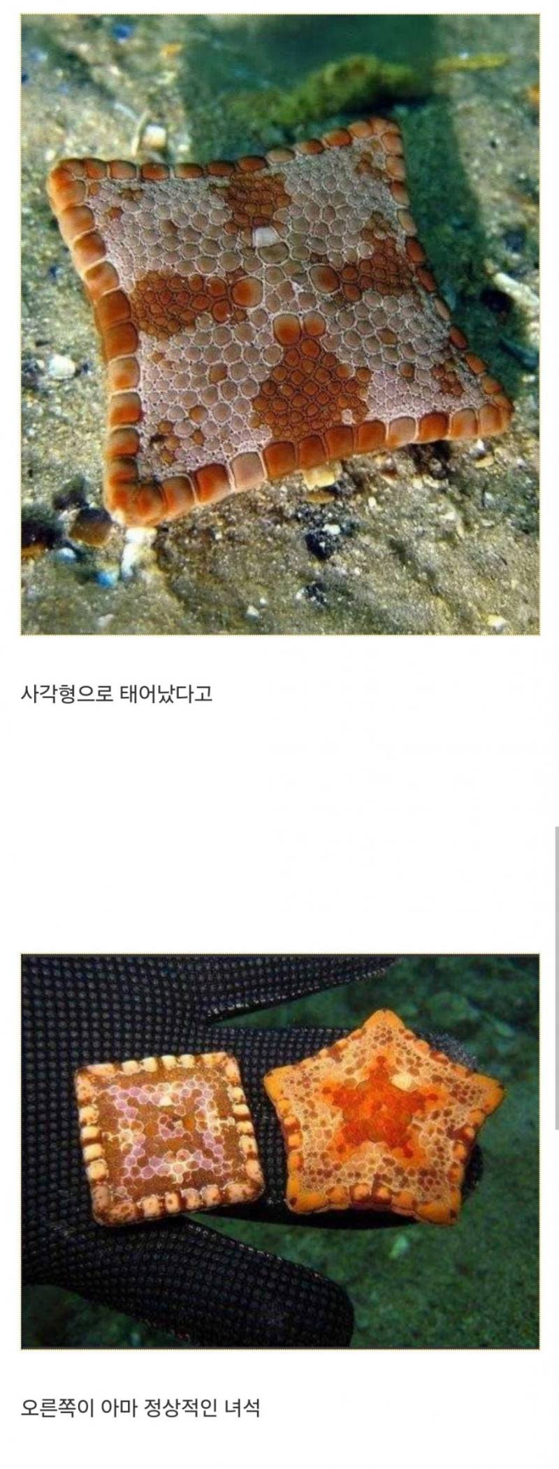 20260927010359_6bIcX3lKdD.jpg