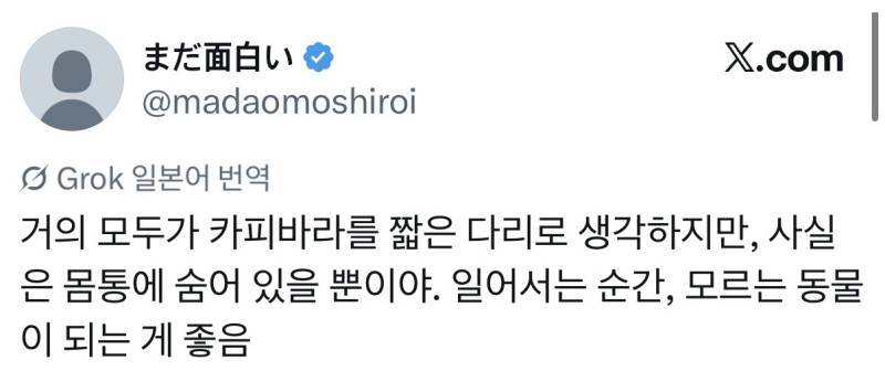 놀라운 카피바라 다리 길이의 내용을 보여주는 이미지