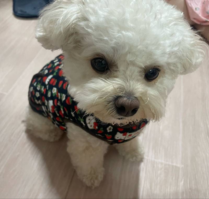 안녕하세요..! 피드 보다가 이미지가 너무 좋으셔서 그런데 추석 용돈좀 주실래요?의 내용을 보여주는 이미지