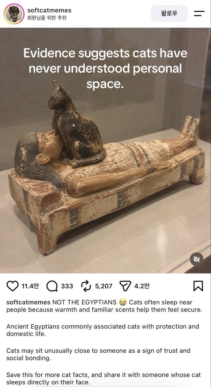 이렇게 한결같기도 쉽지 않은데의 내용을 보여주는 이미지 관련 이미지 2