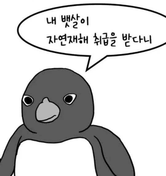 펭귄 남극마을 야식 금지령의 내용을 보여주는 이미지 관련 이미지 10