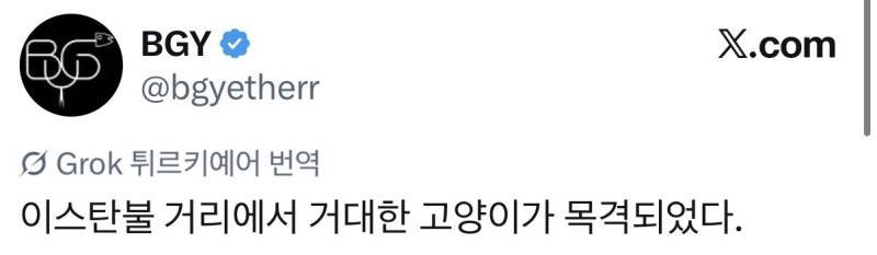 이스탄불 거리에서 거대한 고양이가 목격되었다.X의 내용을 보여주는 이미지