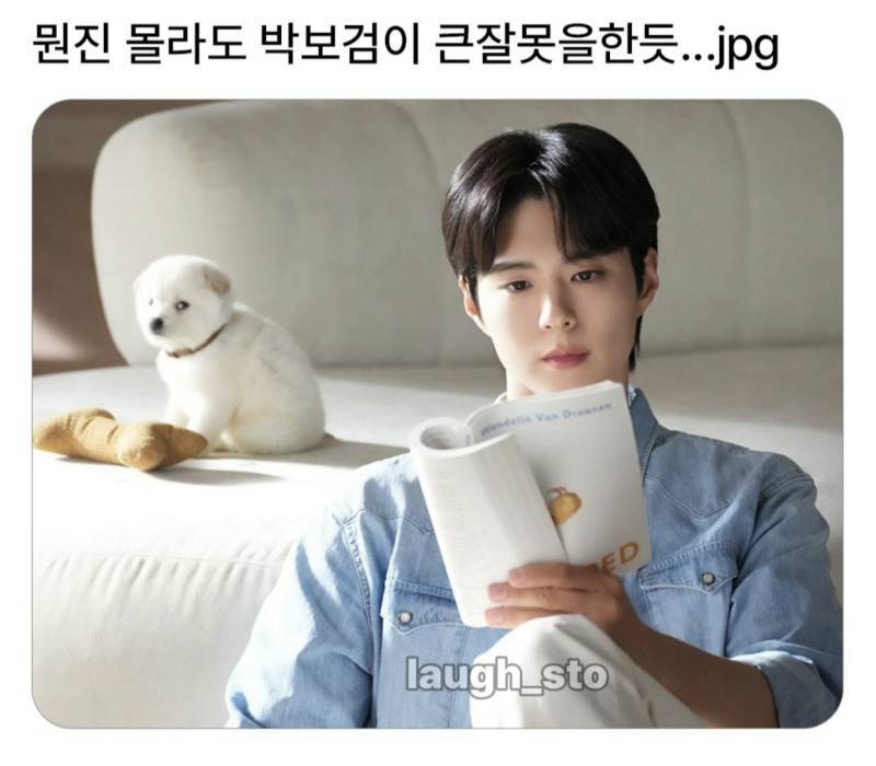 뭔지 몰라도 박보검이 잘못한듯의 내용을 보여주는 이미지