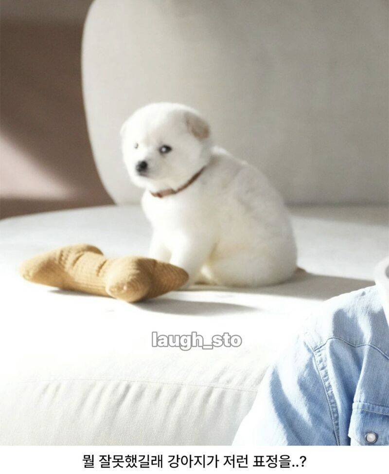 뭔지 몰라도 박보검이 잘못한듯의 내용을 보여주는 이미지 관련 이미지 2
