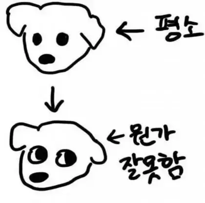 뭔지 몰라도 박보검이 잘못한듯의 내용을 보여주는 이미지 관련 이미지 3