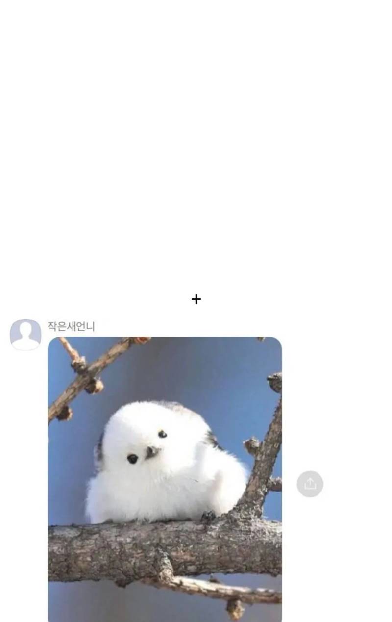 평소엔 지적인 새언니가 아가씨한테 보내는 카톡의 내용을 보여주는 이미지 관련 이미지 3