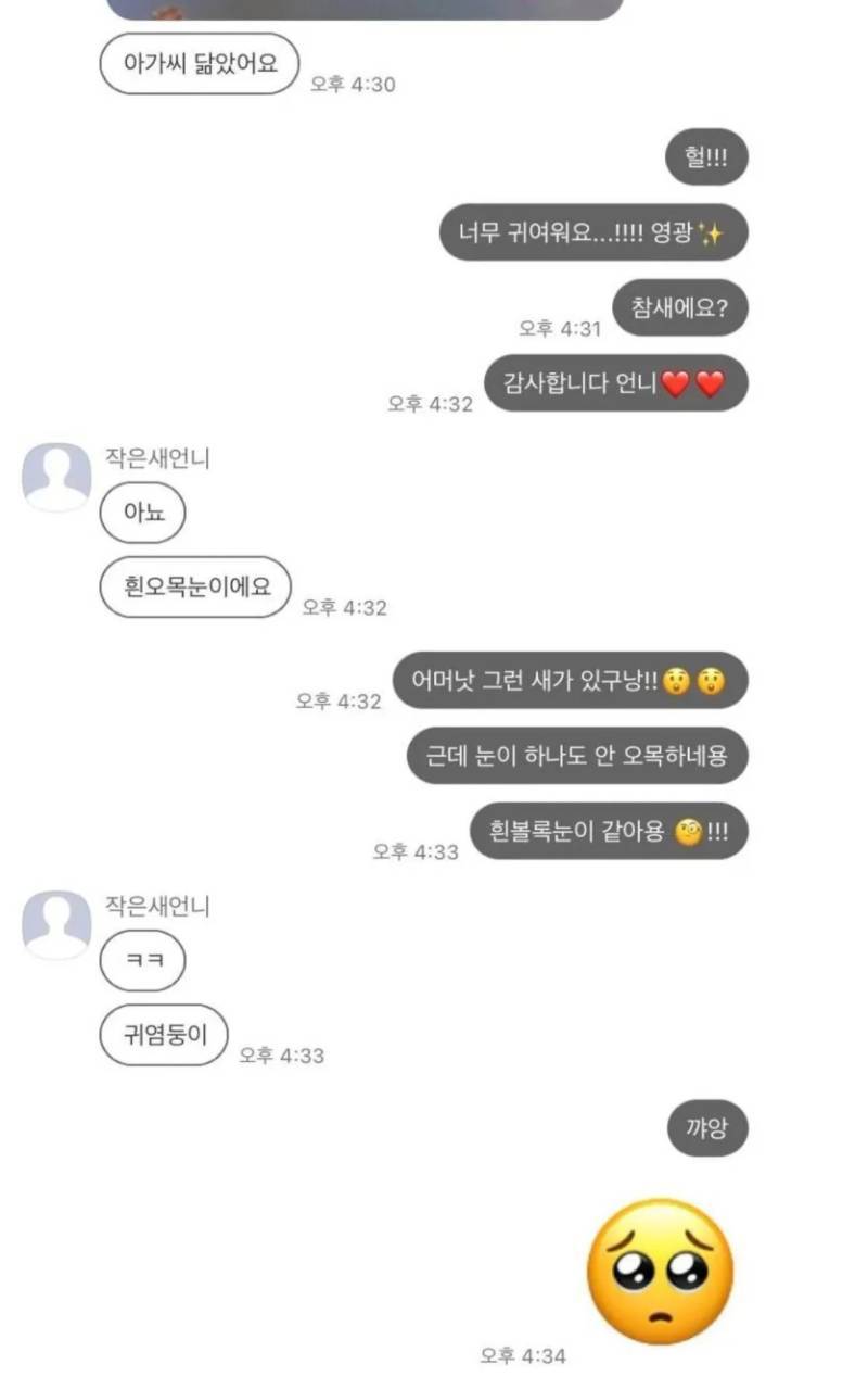 평소엔 지적인 새언니가 아가씨한테 보내는 카톡의 내용을 보여주는 이미지 관련 이미지 4