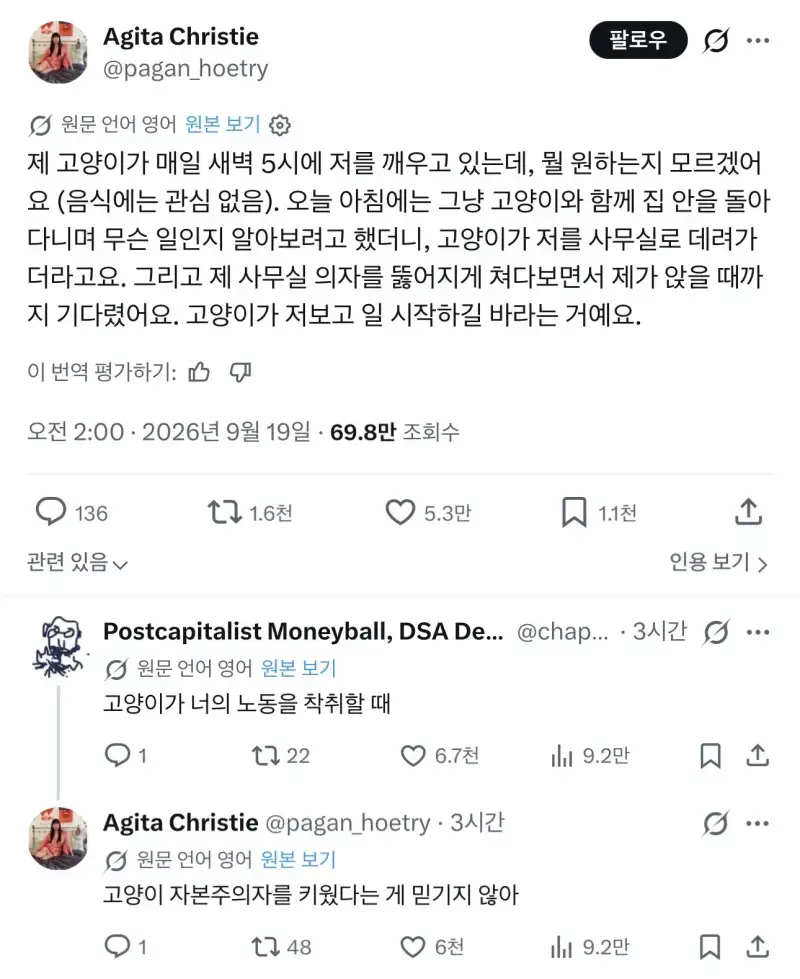 자본주의묘 고양이의 내용을 보여주는 이미지