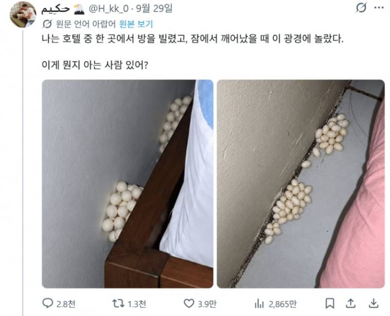 20260930230613_fpvHM0sMpp.png