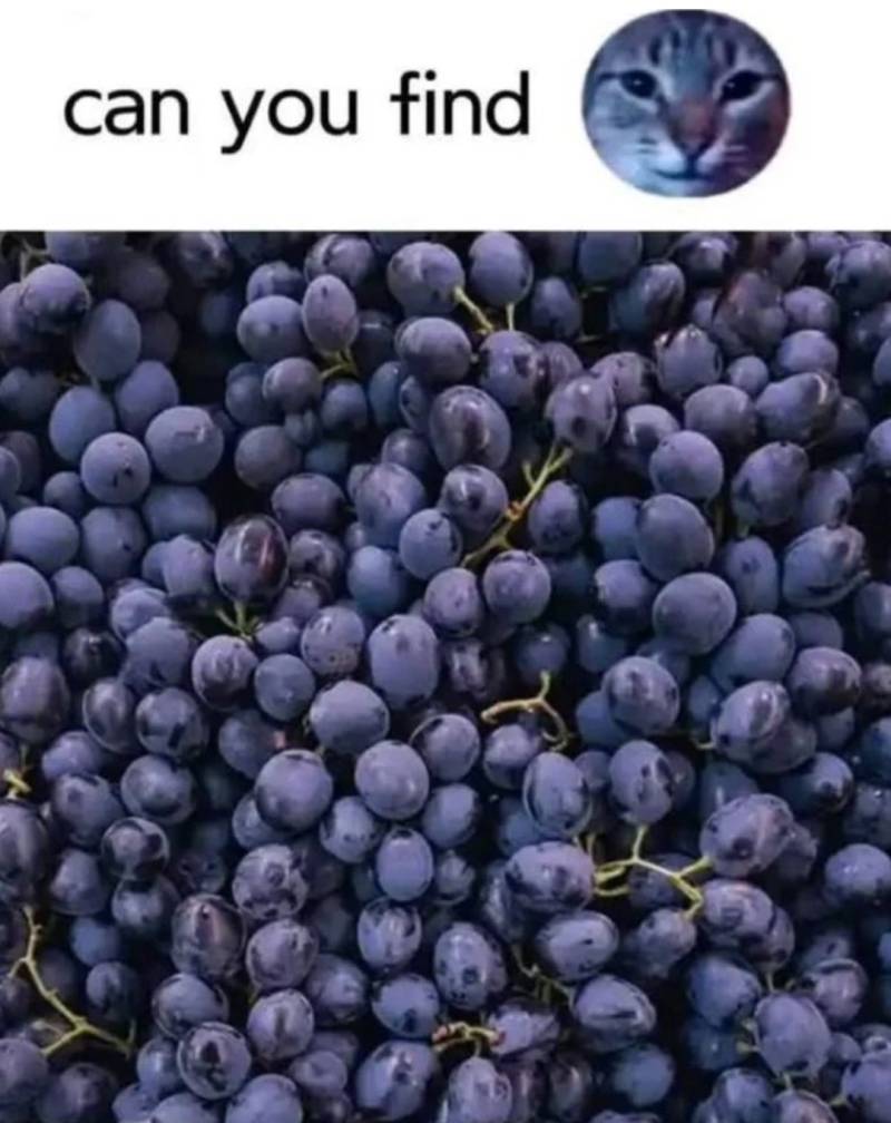 66v2rZkKmQgu4cWmI2KYOo.jpg