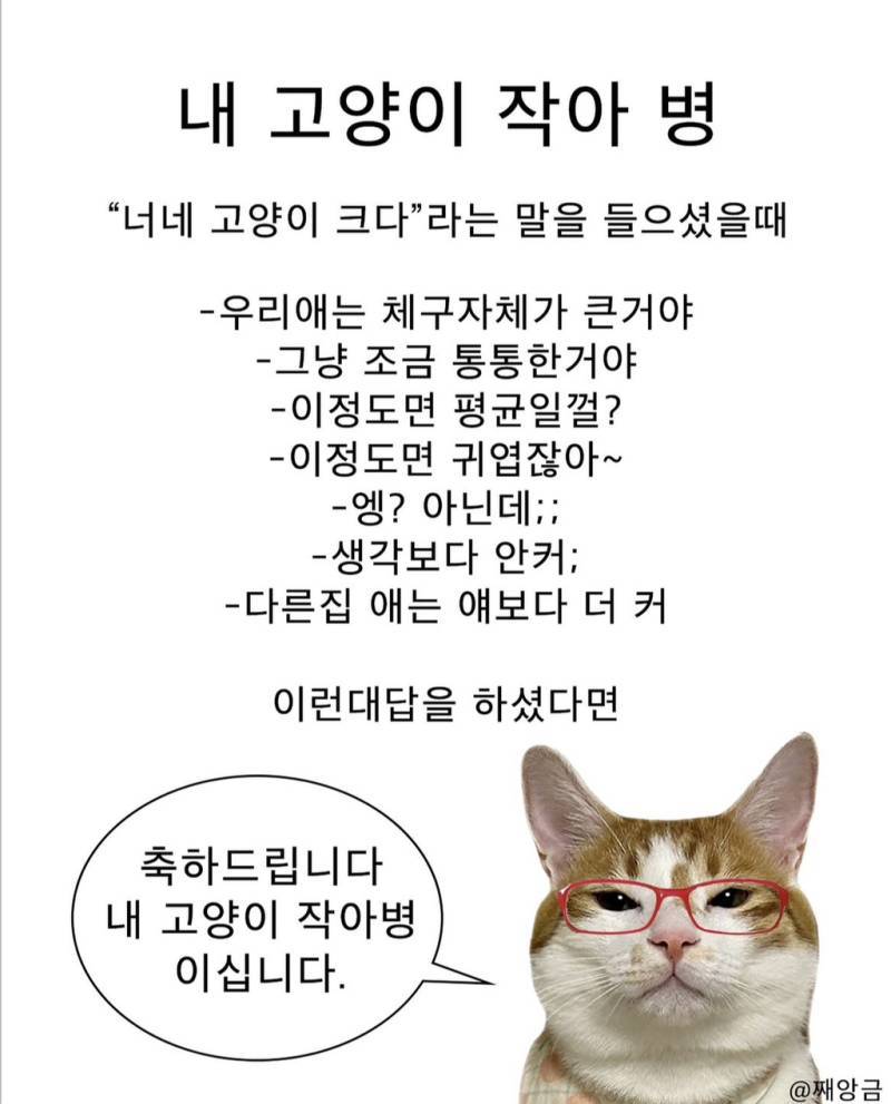 3iFbRMrKvKywqQ2seSgyuc.jpg
