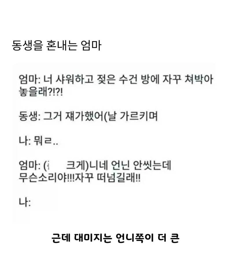 동생을 혼내는 엄마의 내용을 보여주는 이미지