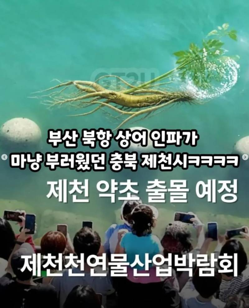 20261005155126_ztsYFqHUgR.png