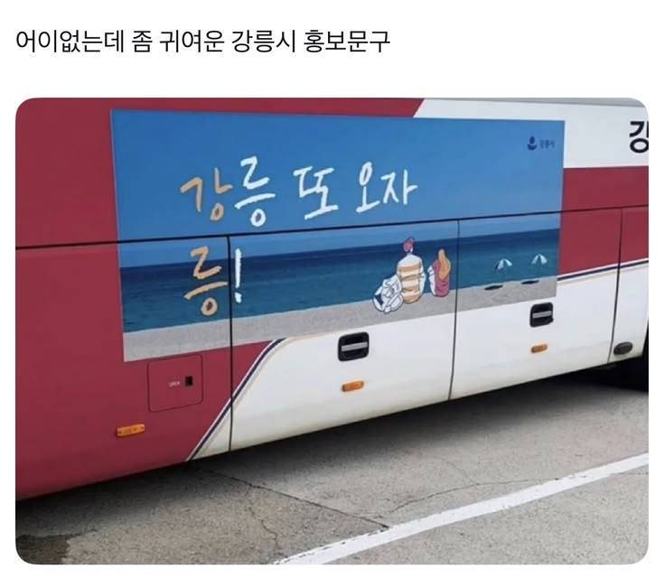 대충 지은 강릉 홍보 문구의 내용을 보여주는 이미지