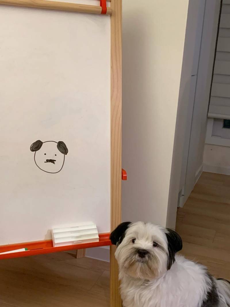 🐶그리기 너무 쉬운 초상화🐾의 내용을 보여주는 이미지