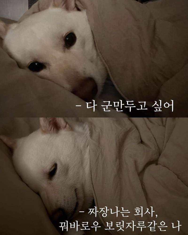ALjVpJO608uS6MQQwwciU.jpg
