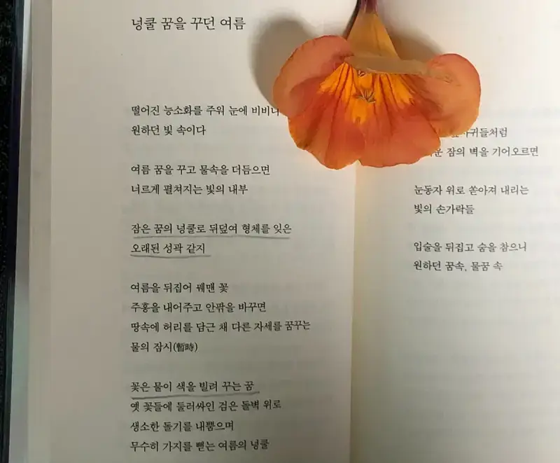 EyqeUA