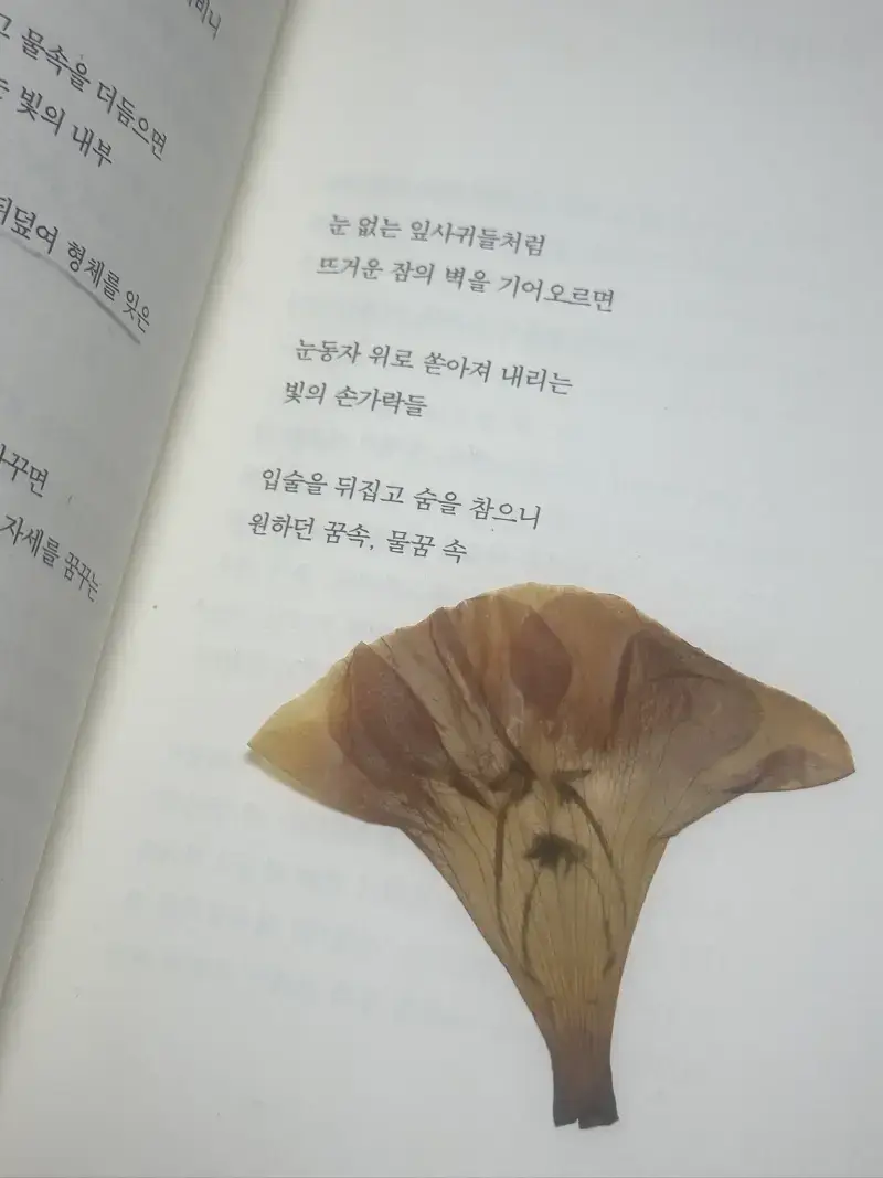 KEOJje