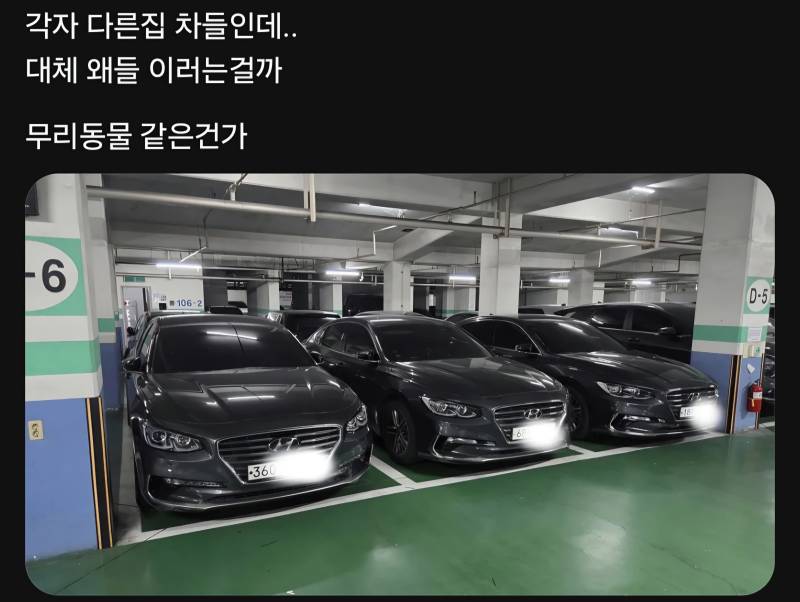 의외로 무리 생활을 한다는 존재들의 내용을 보여주는 이미지