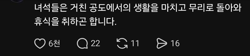 의외로 무리 생활을 한다는 존재들의 내용을 보여주는 이미지 관련 이미지 2