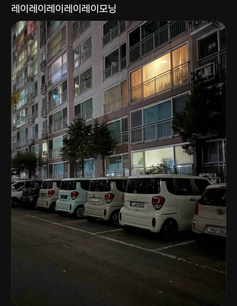 의외로 무리 생활을 한다는 존재들의 내용을 보여주는 이미지 관련 이미지 3
