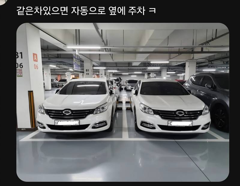 의외로 무리 생활을 한다는 존재들의 내용을 보여주는 이미지 관련 이미지 4